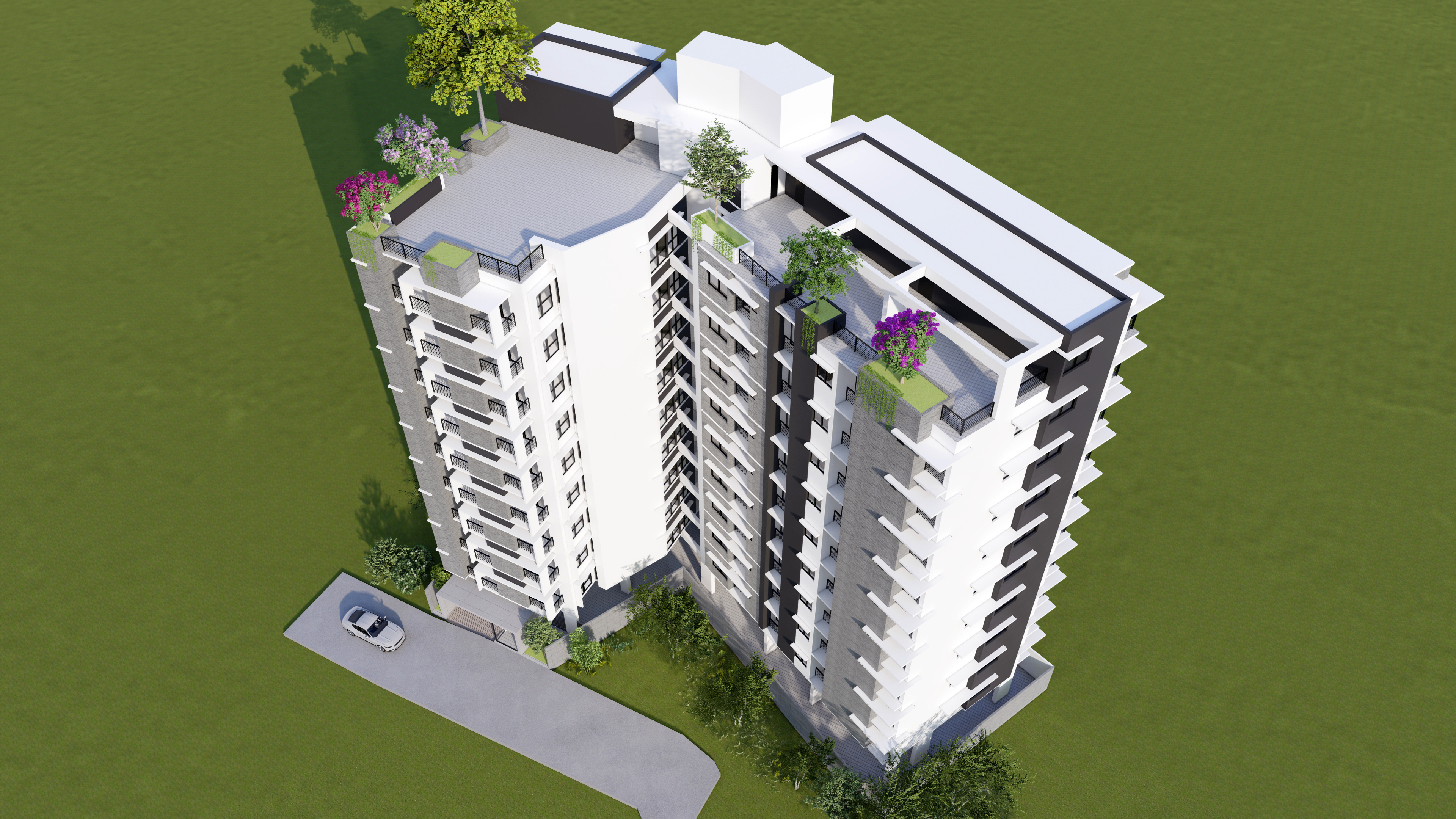 RAJANIGANDHA